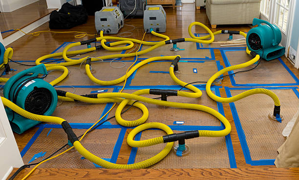 Professional Crawl Space Water Removal technician working in Gill, MA
